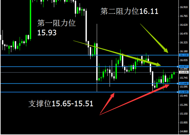 1224晚白美.jpg